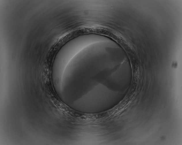 X0000100330822200806191105