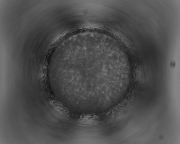 X0000100330824200806191106