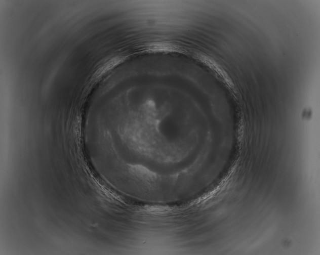 X0000100330825200806191106