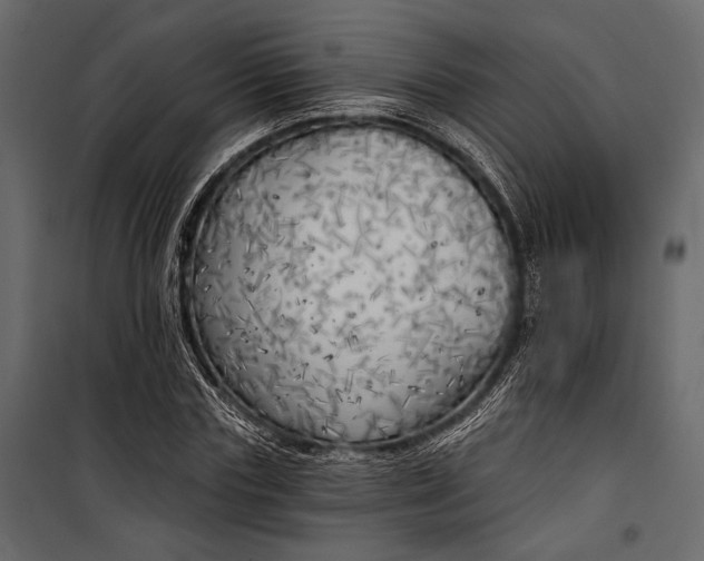 X0000100330827200806191106