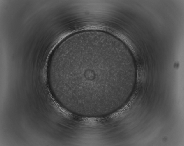 X0000100330828200806191106