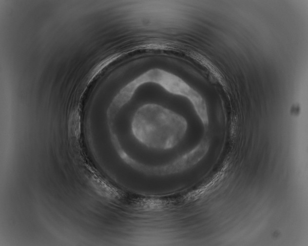 X0000100330829200806191106