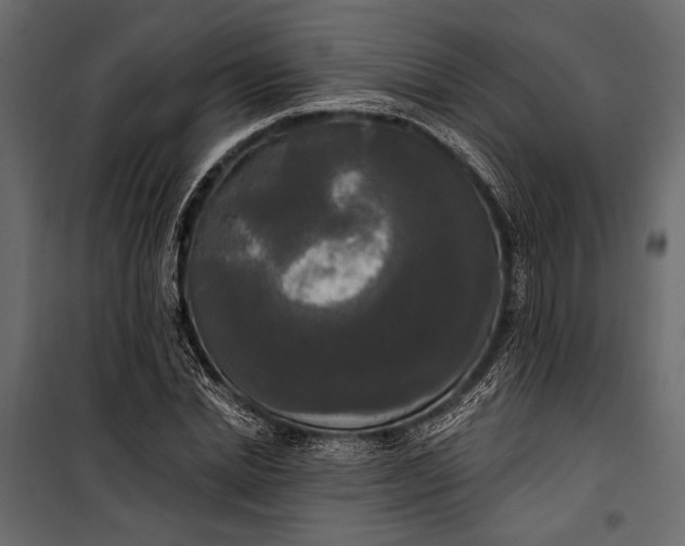 X0000100330830200806191106