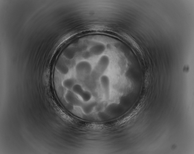 X0000100330831200806191106