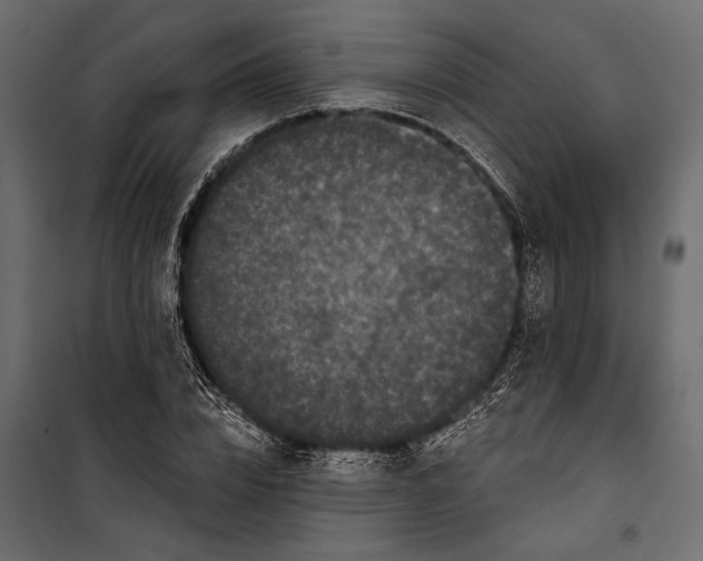 X0000100330832200806191106