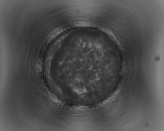 X0000100330833200806191106