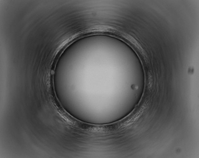 X0000100330834200806191106