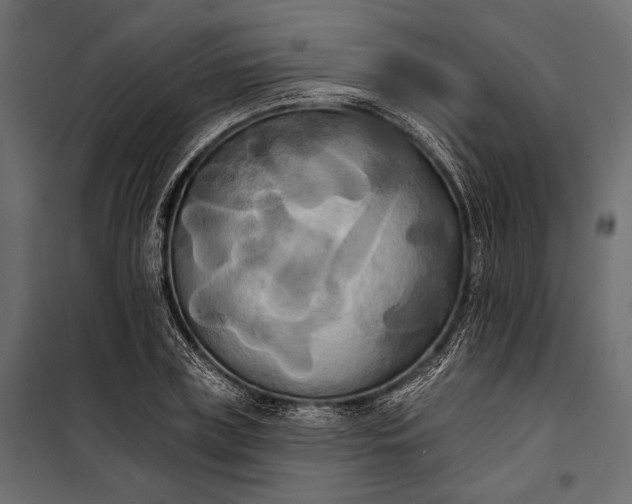 X0000100330835200806191106