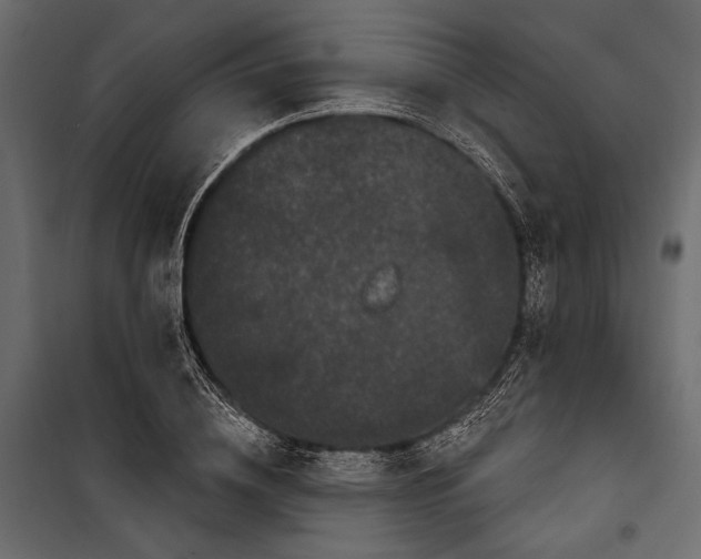 X0000100330836200806191106