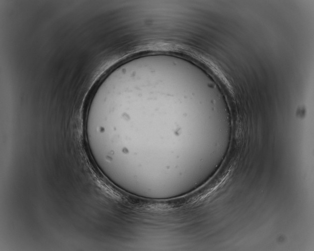 X0000100330837200806191106