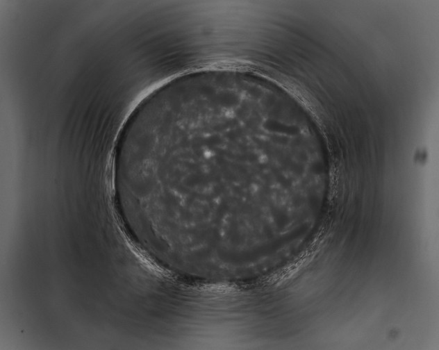 X0000100330838200806191106