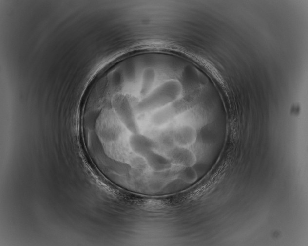 X0000100330839200806191106