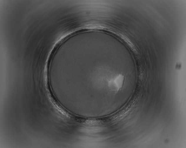 X0000100330840200806191106