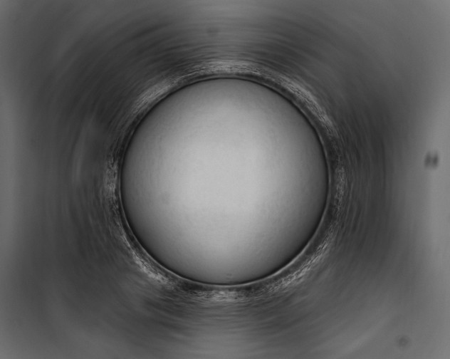 X0000100330841200806191106