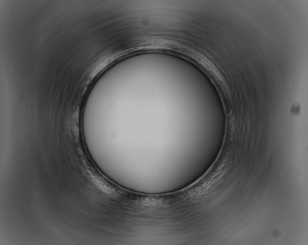 X0000100330842200806191106