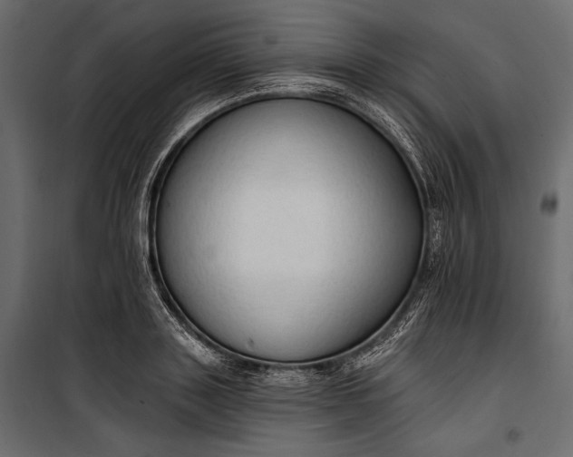 X0000100330843200806191106