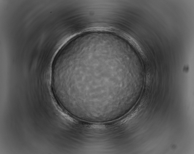 X0000100330844200806191106