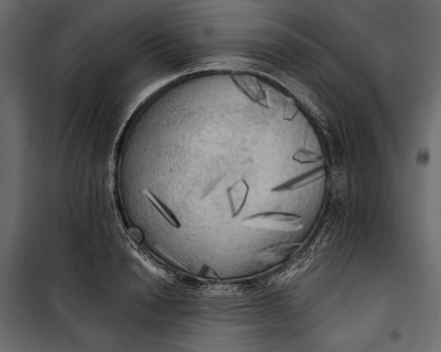 X0000100330846200806191106