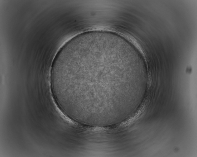 X0000100330847200806191106