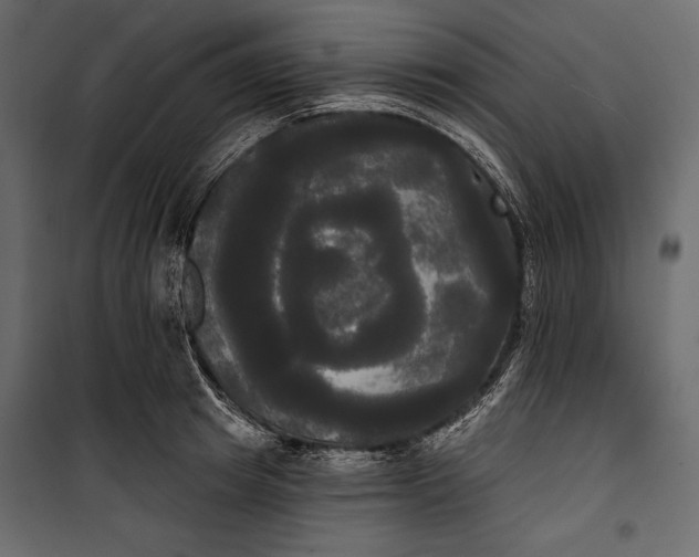 X0000100330849200806191106