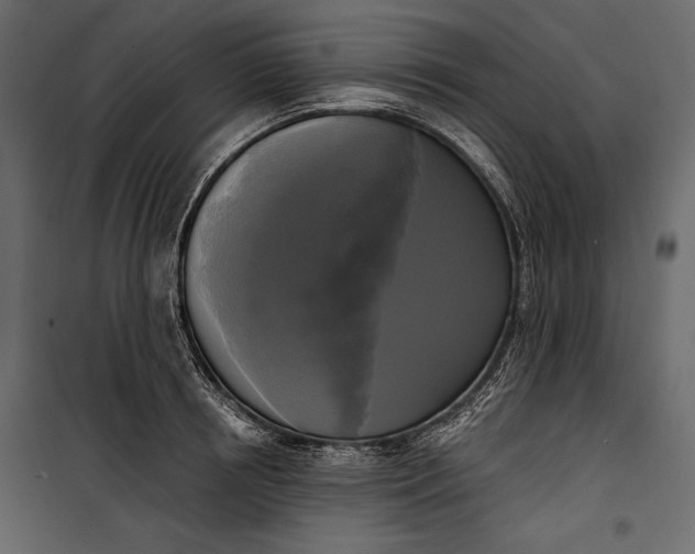 X0000100330850200806191106