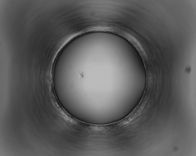 X0000100330852200806191106