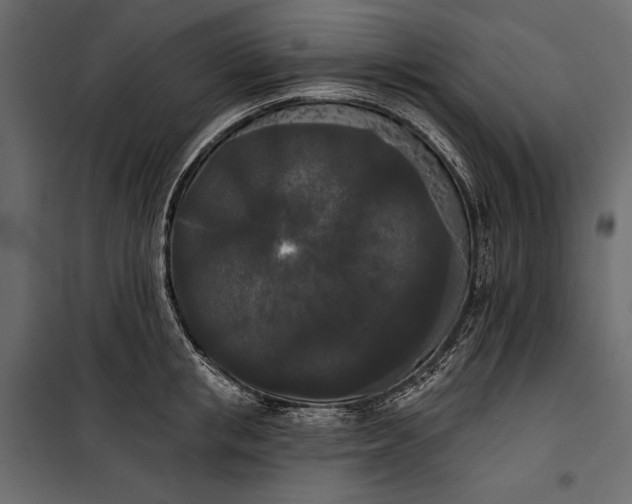 X0000100330853200806191106