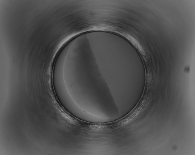 X0000100330854200806191106