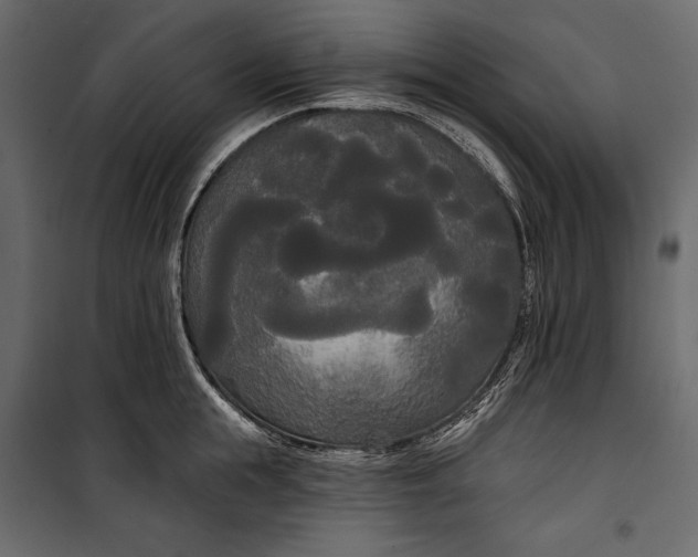 X0000100330855200806191106