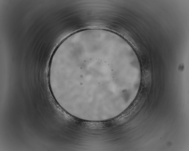 X0000100330856200806191106