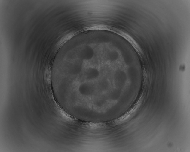 X0000100330857200806191106