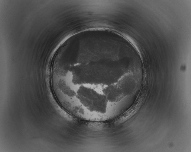 X0000100330859200806191106