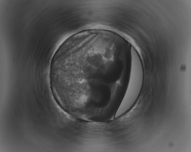 X0000100330863200806191106