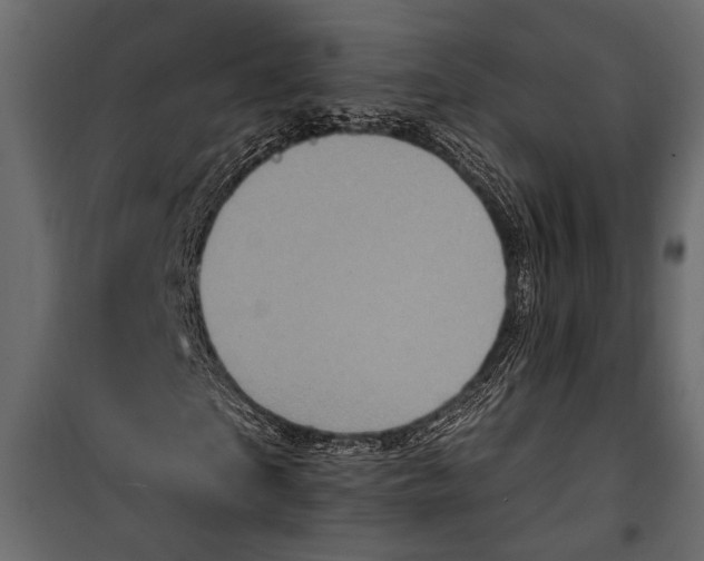 X0000100330865200806191105