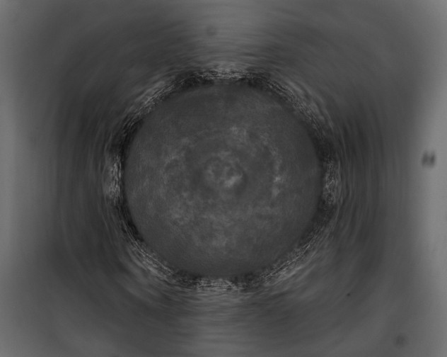 X0000100330866200806191105