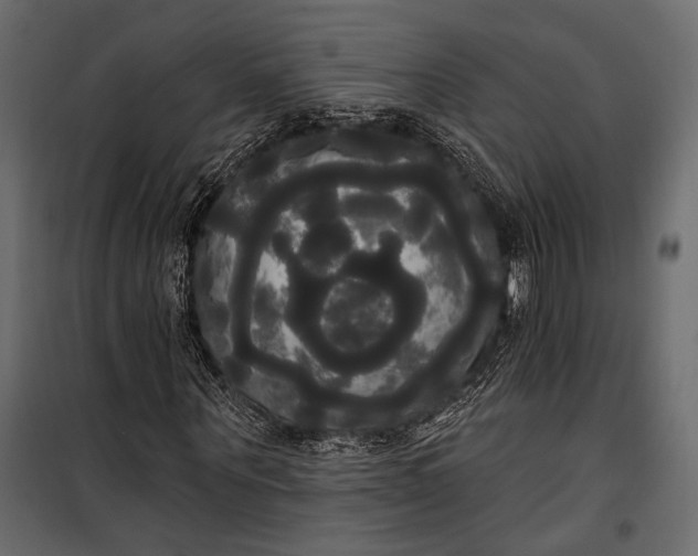 X0000100330867200806191105