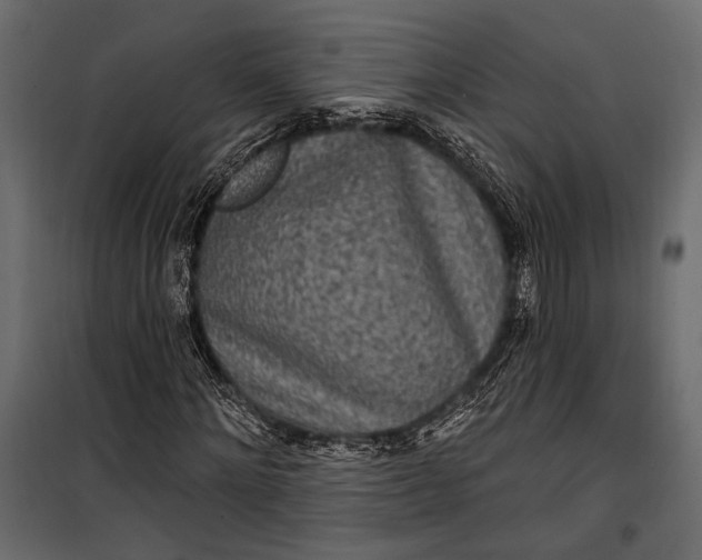 X0000100330868200806191105