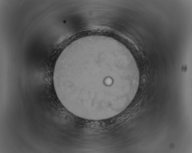 X0000100330869200806191105