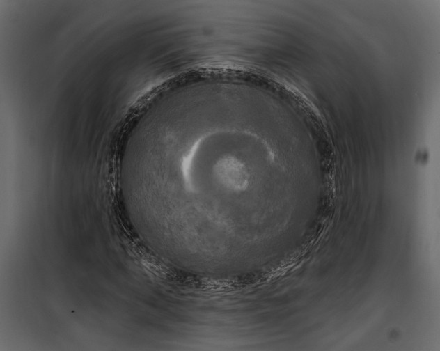 X0000100330870200806191105