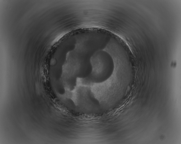 X0000100330871200806191105