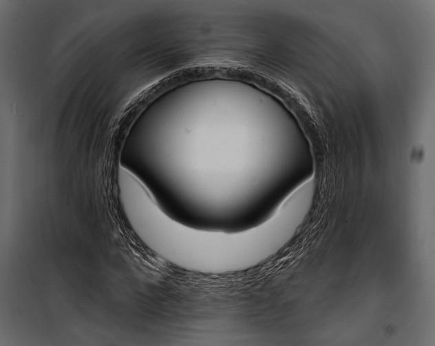 X0000100330872200806191105