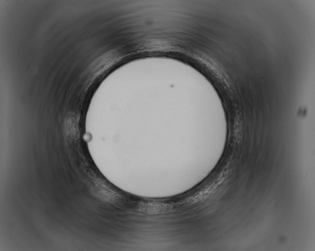 X0000100330873200806191105