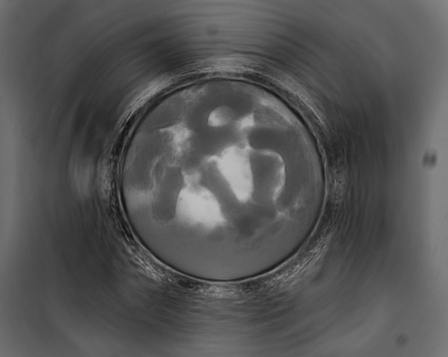 X0000100330874200806191105