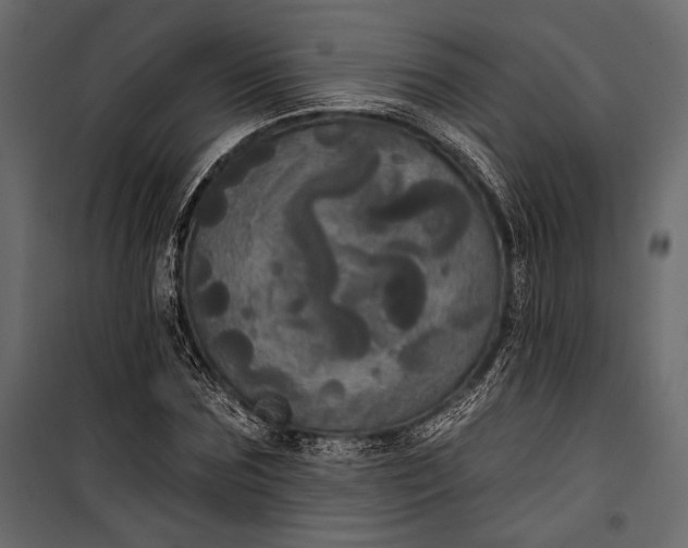 X0000100330875200806191105