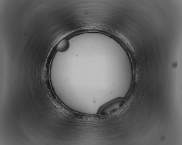 X0000100330876200806191105