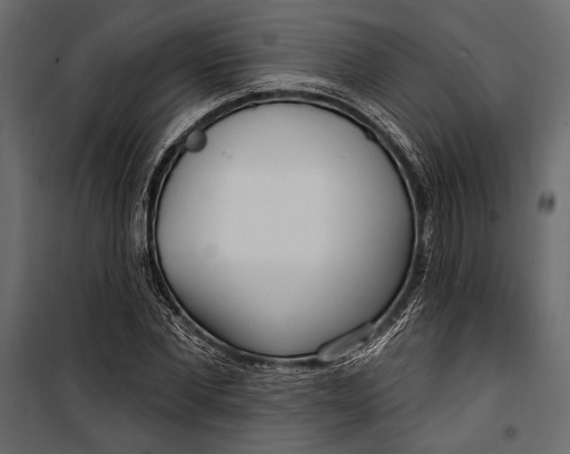 X0000100330877200806191105