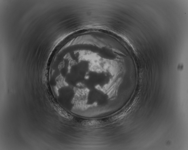 X0000100330879200806191105