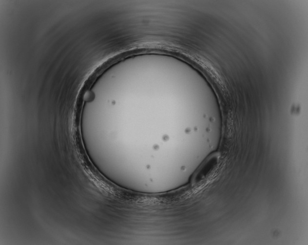 X0000100330880200806191105