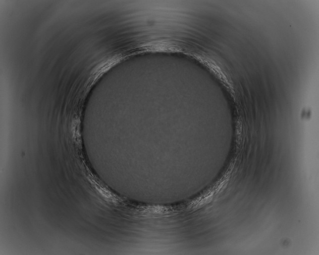 X0000100330881200806191105