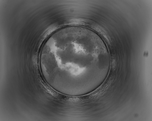 X0000100330882200806191105